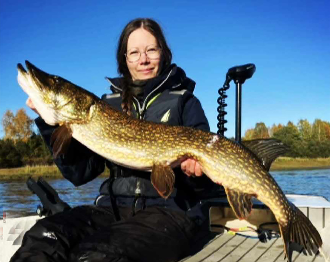 Holmström Bait Tornedals Tailen